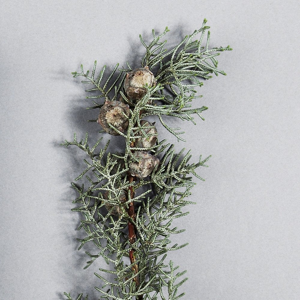 - YOU'VE GOT THIS - 100ml Shave Cream