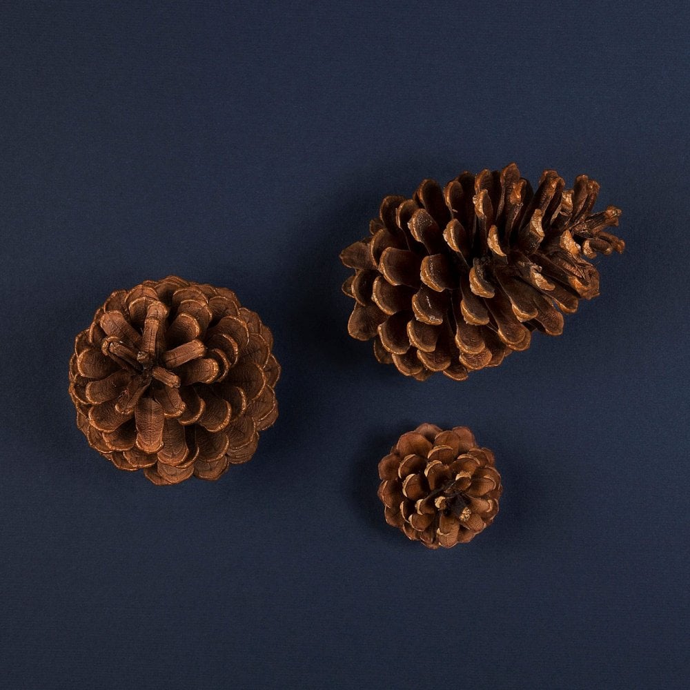 - YOU'VE GOT THIS - 100ml Shave Cream