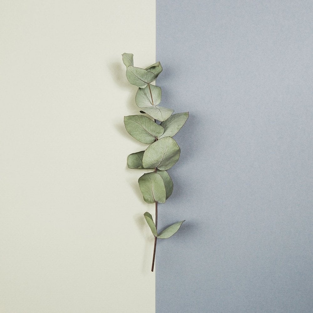 - THE MORNING AFTER - 100ml Shave Cream