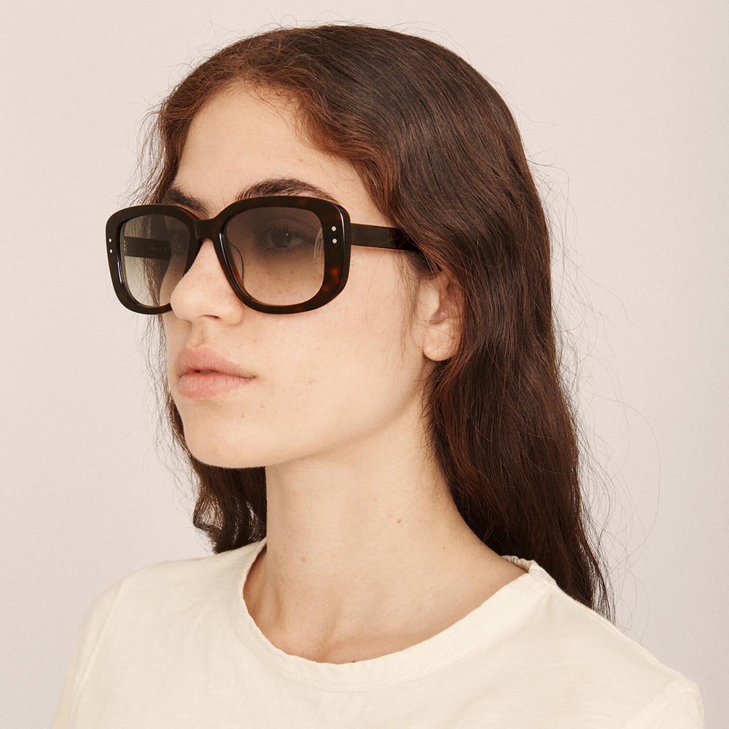 - Adam Sunglasses - Dark Tortoise Graduated Green