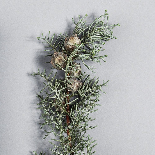 - YOU'VE GOT THIS - 100ml Shave Cream