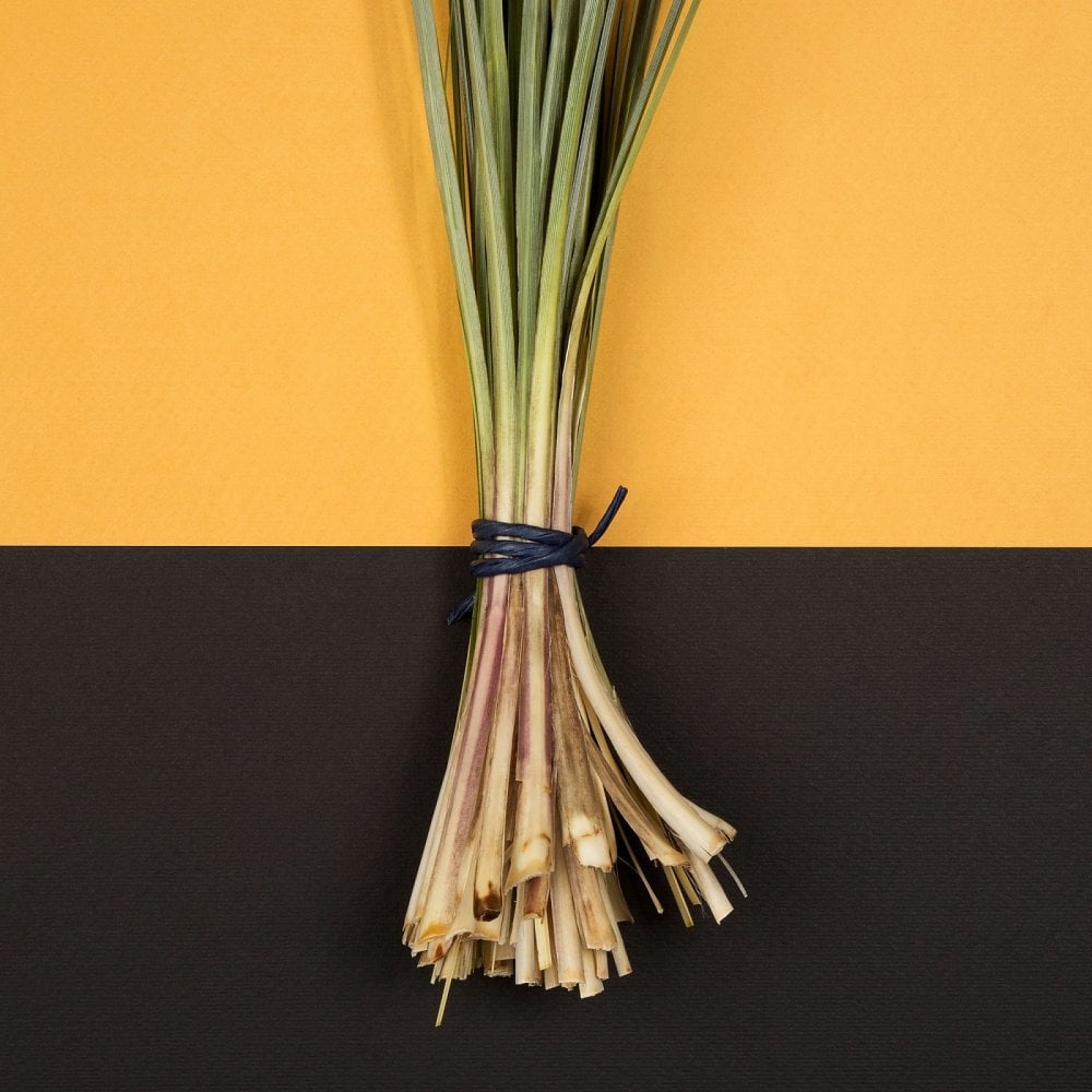 - WAKE UP CALL - 100ml Shave Cream