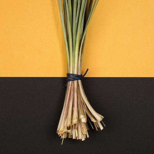 - WAKE UP CALL - 100ml Shave Cream