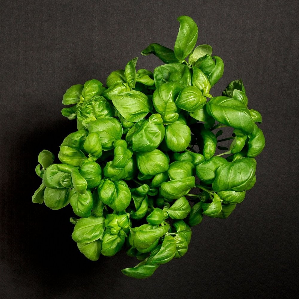 - TIME OUT - 100ml Shave Cream