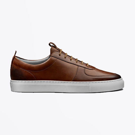 - Sneaker 22 - Leather Sneakers - Tan