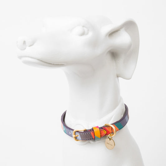 - 'Swirl' Print Leather Dog Collar - Multi