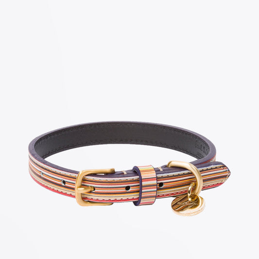 - Stripe Print Leather Dog Collar - Multi