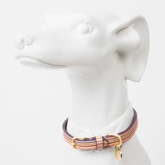- Stripe Print Leather Dog Collar - Multi