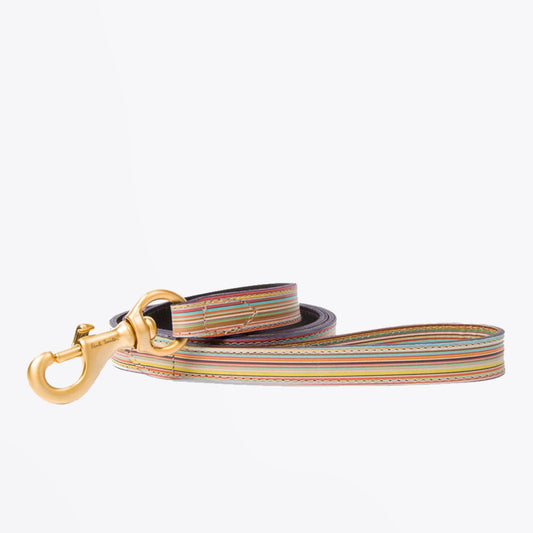 Leather Signature Stripe Dog Lead - Multi