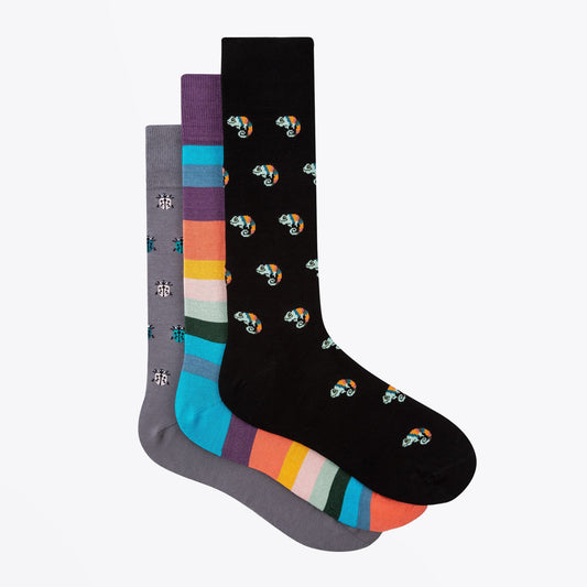 - Three Pack Chameleon, 'Artist Stripe' and Ladybird Motif Socks