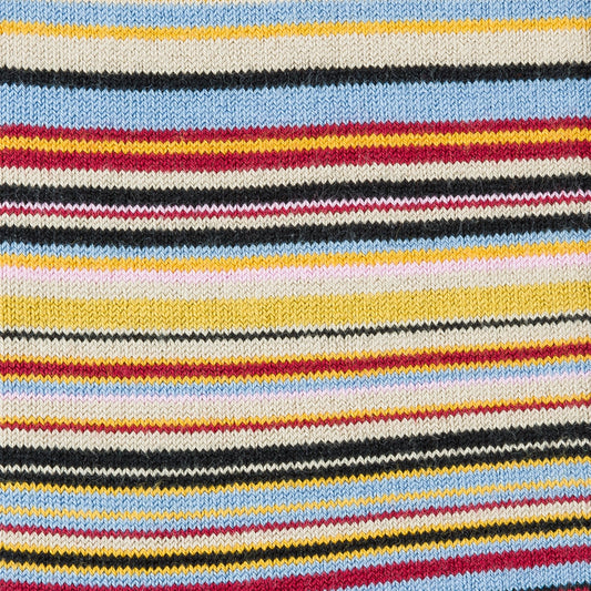 Narrow Signature Stripe Socks - Multi