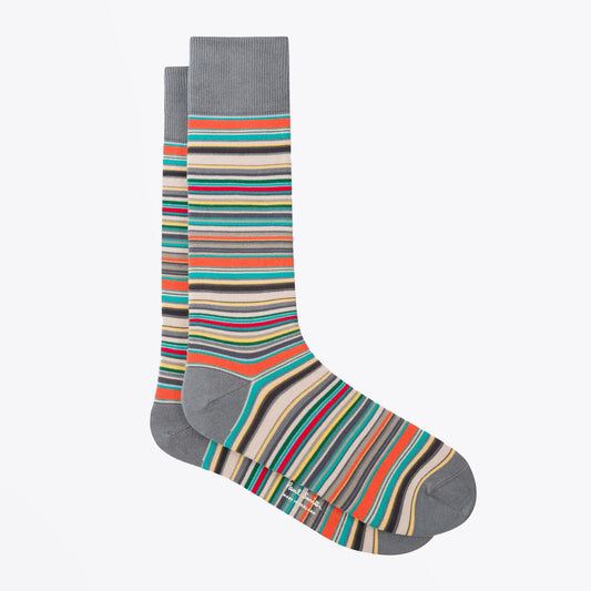 Narrow Signature Stripe Socks - Multi