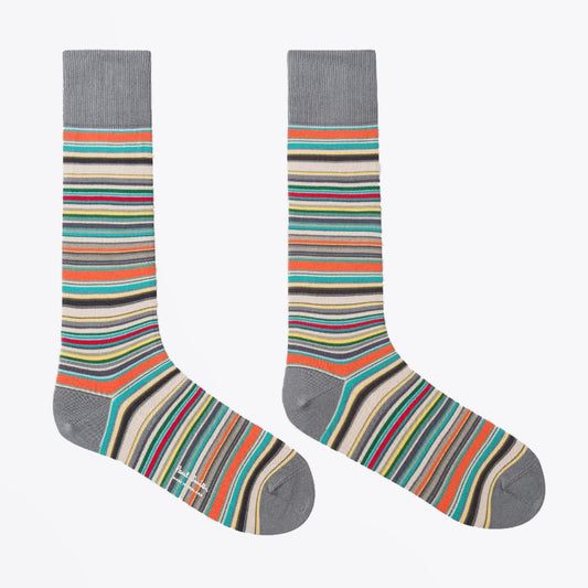 Narrow Signature Stripe Socks - Multi