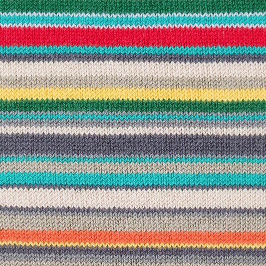 Narrow Signature Stripe Socks - Multi