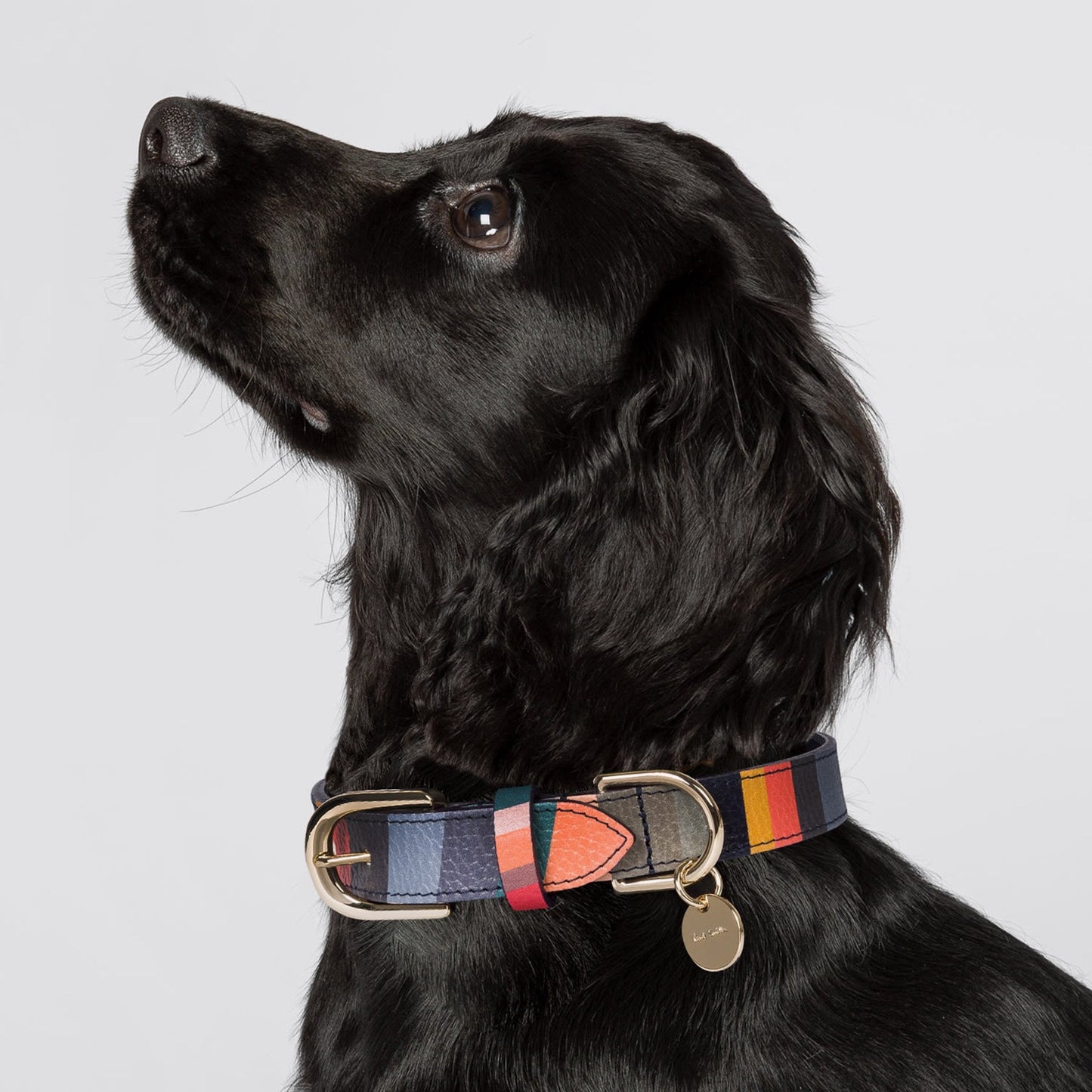- 'Swirl' Print Leather Dog Collar Small - Multi