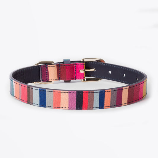 - 'Swirl' Print Leather Dog Collar Small - Multi
