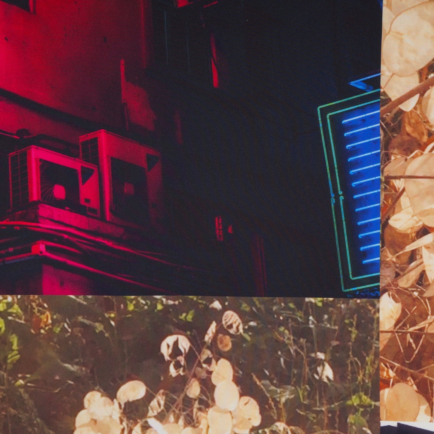 - Photographic Print Tee - Multi/Black