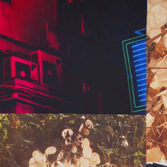 - Photographic Print Tee - Multi/Black