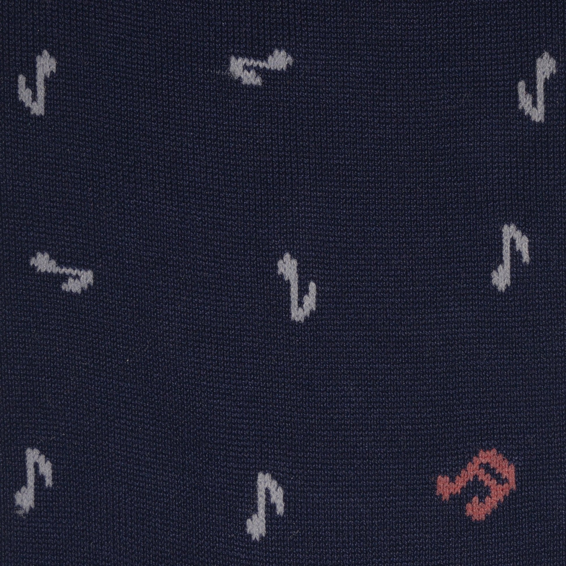 Paul Music Notes Socks - Navy