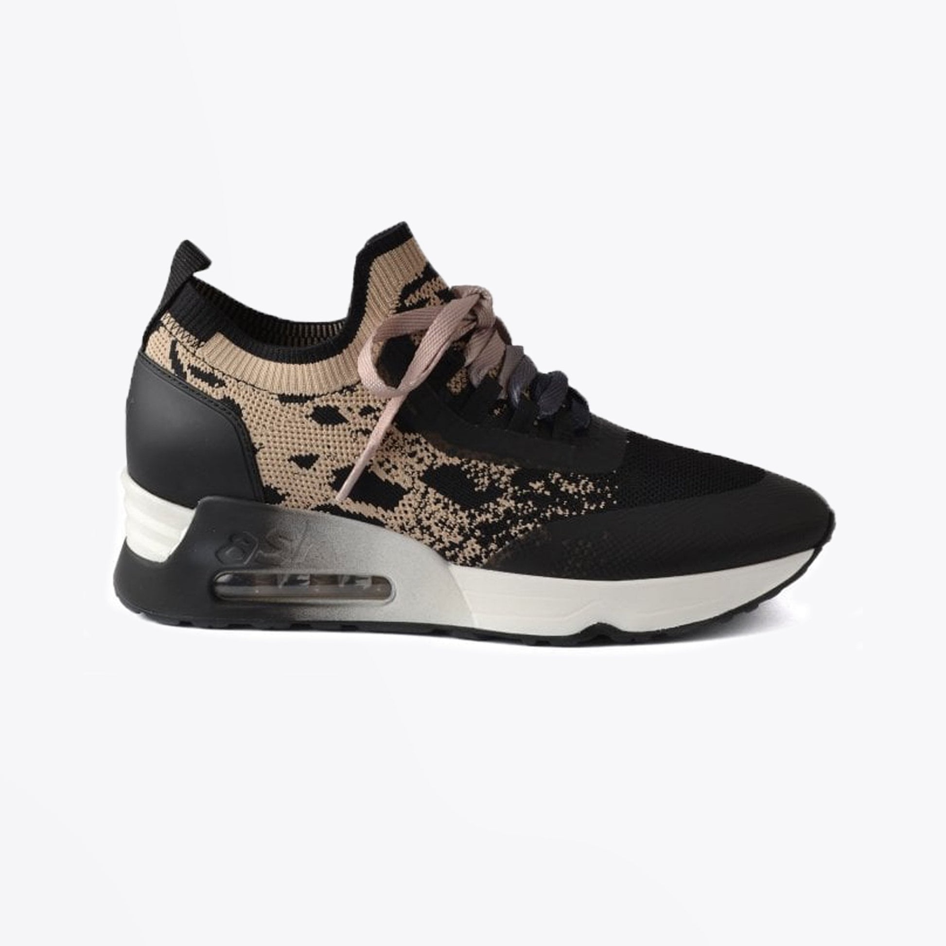 Ash Knitted Trainers - Beige/Black