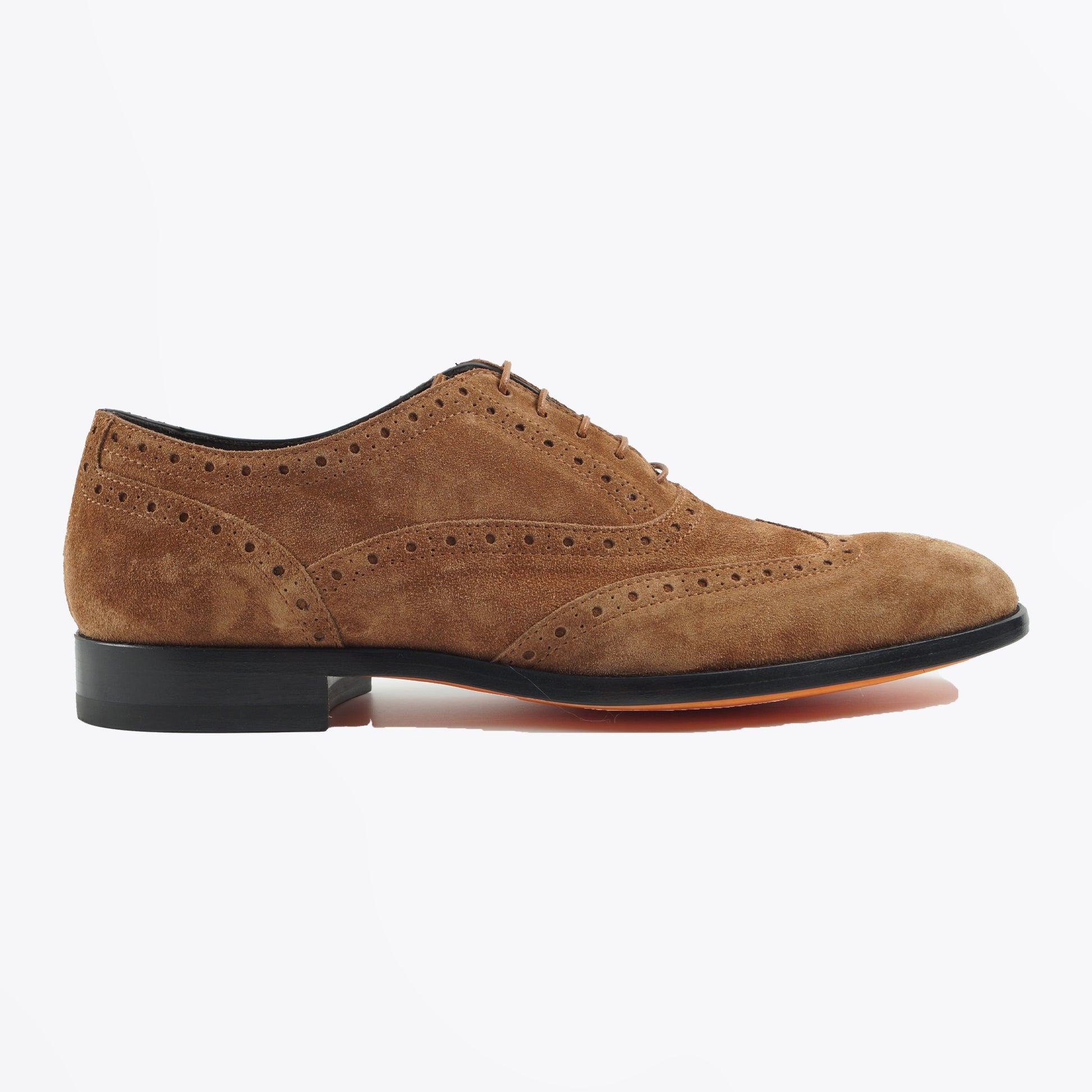 Paul - Galileo Suede Brogues - Tan