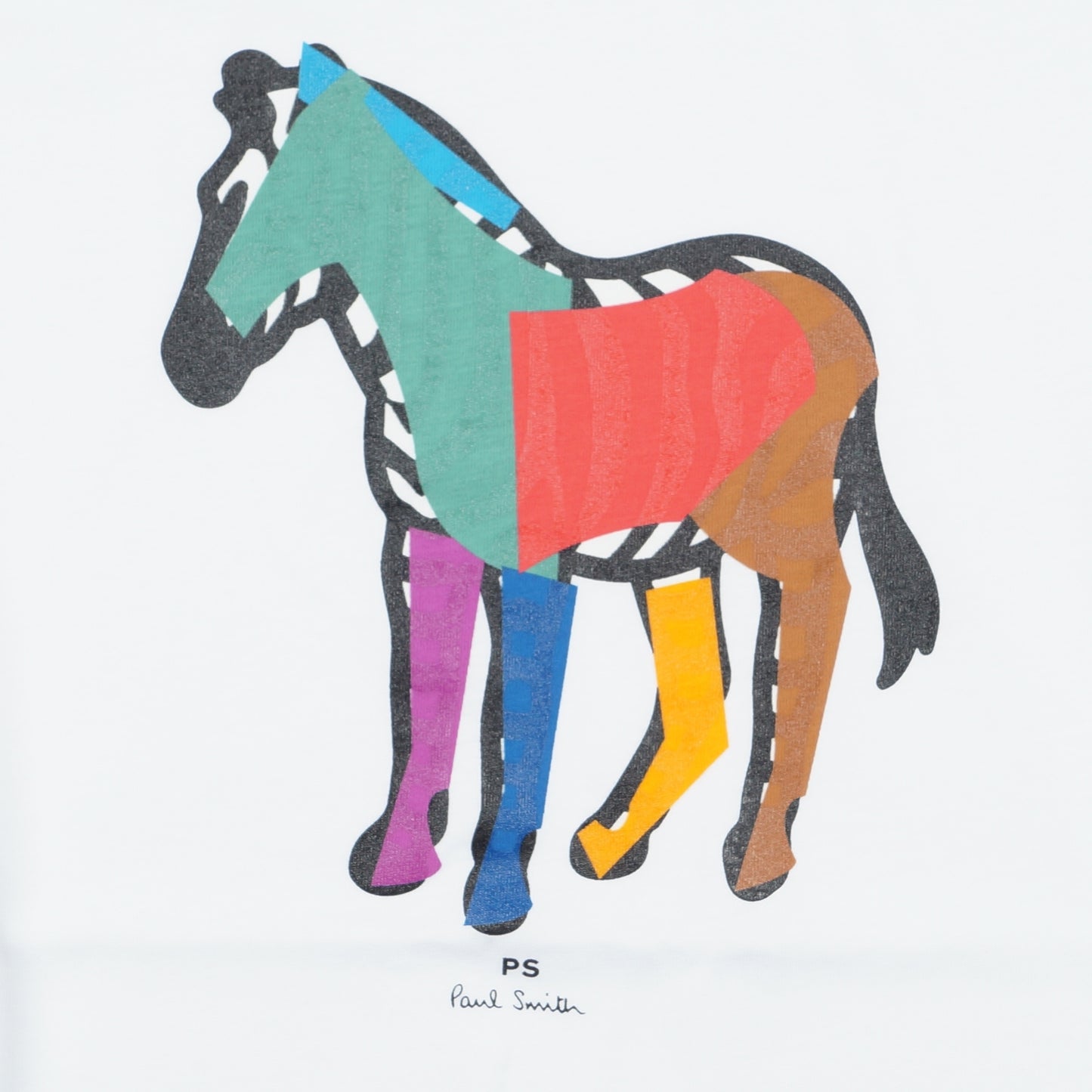 - Colourful Zebra Reg Fit T-Shirt - White