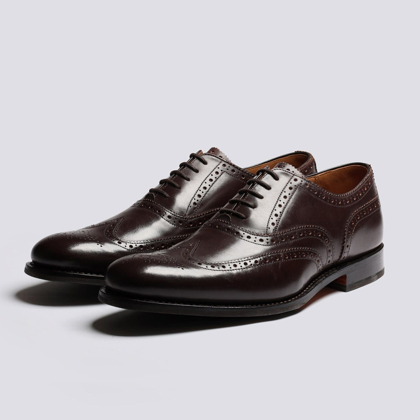 - Dylan Wingcap Oxford Brogue - Brown Colorado