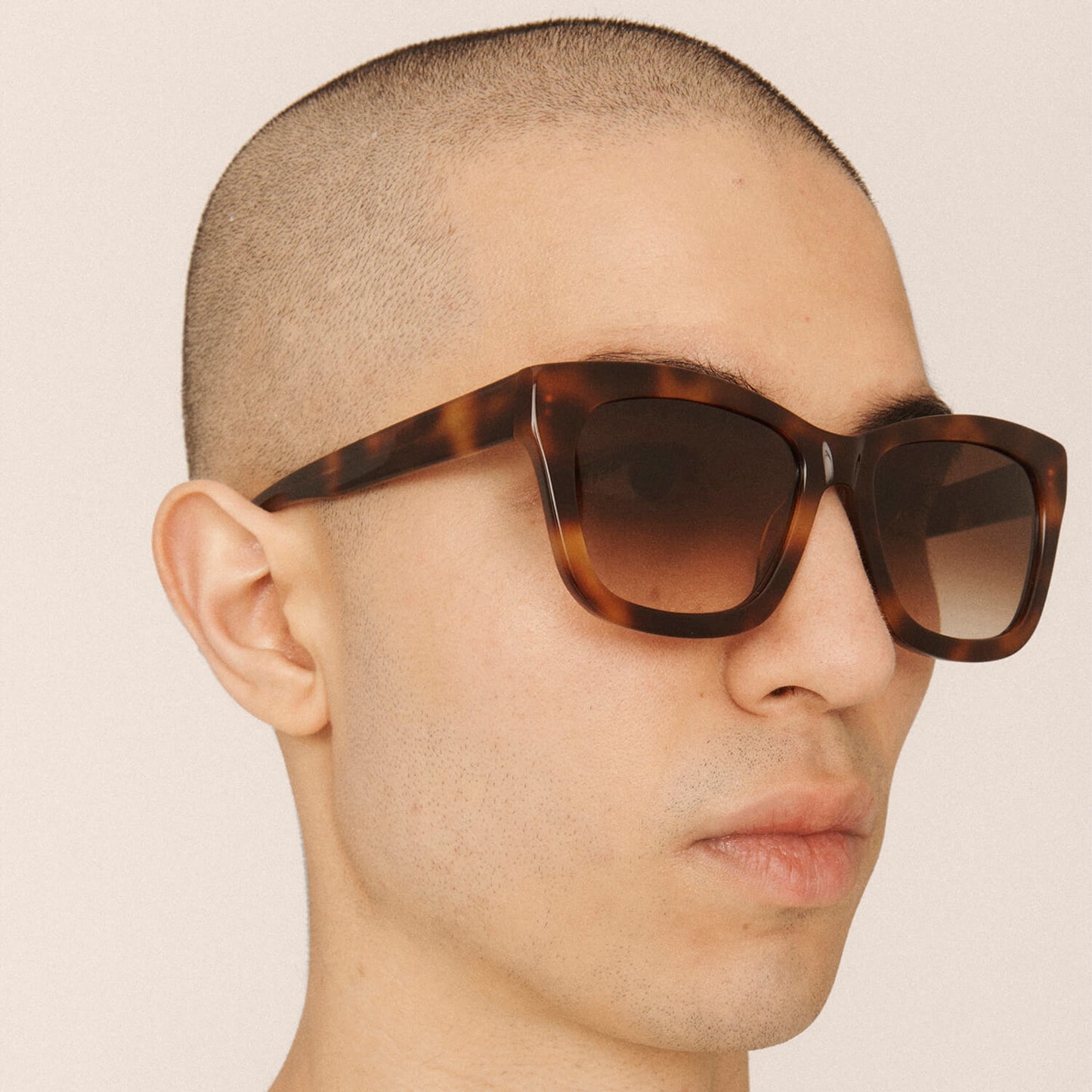 - Rosie Sunglasses - Tortoise Gradient Brown