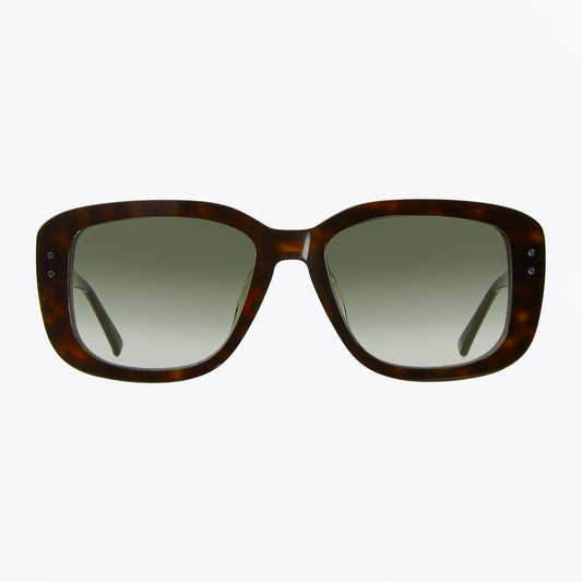 - Adam Sunglasses - Dark Tortoise Graduated Green