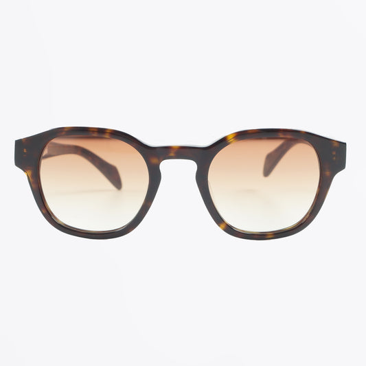 - Allday Sunglasses - Tortoise