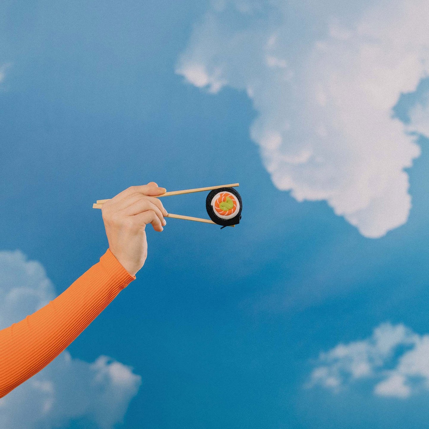 - Salmon Maki Roll Socks