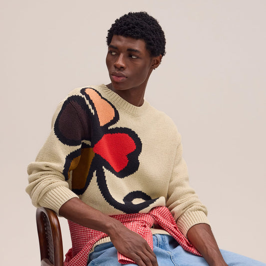 Todd Crew Neck Knit - Ecru